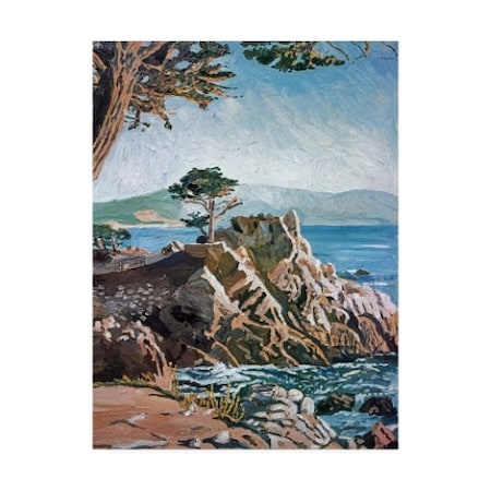 David Lloyd Glover 'Cypress Point Monterey' Canvas Art,18x24